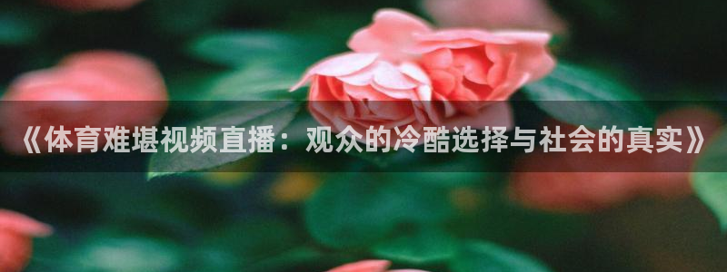 《体育难堪视频直播：观众的冷酷选择与社会的真实》