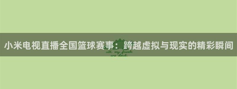 小米电视直播全国篮球赛事：跨越虚拟与现实的精彩瞬间