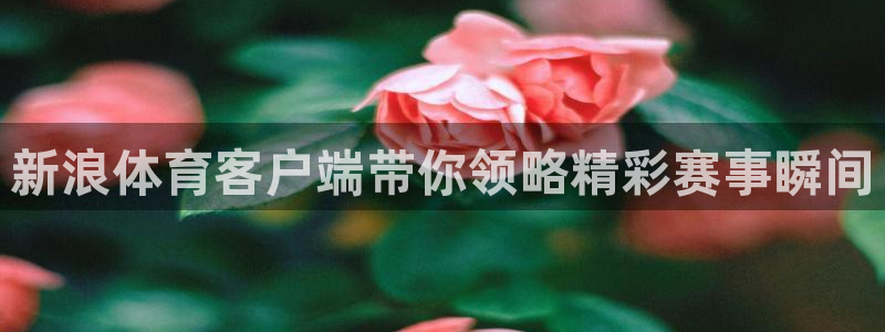 新浪体育客户端带你领略精彩赛事瞬间