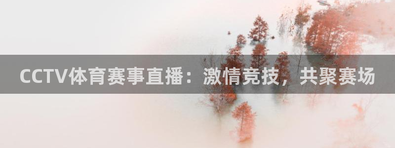 CCTV体育赛事直播：激情竞技，共聚赛场
