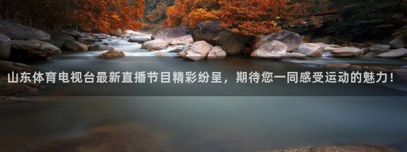 山东体育电视台最新直播节目精彩纷呈，期待您一同感受运动的魅力！