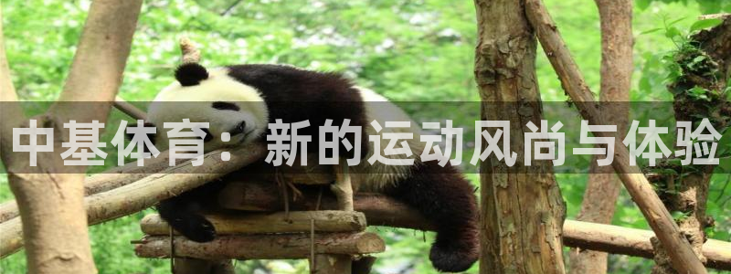 中基体育：新的运动风尚与体验