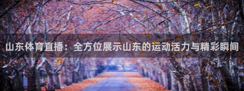 山东体育直播：全方位展示山东的运动活力与精彩瞬间