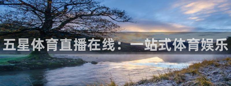 五星体育直播在线：一站式体育娱乐