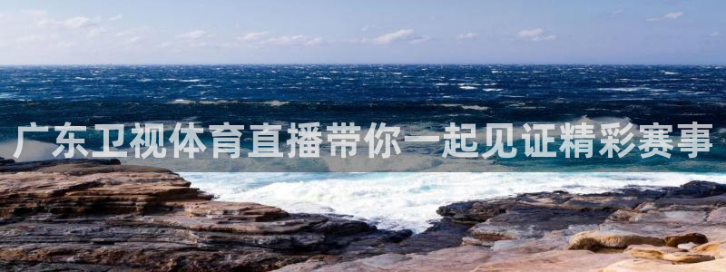 广东卫视体育直播带你一起见证精彩赛事