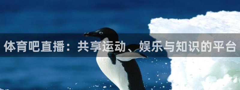体育吧直播：共享运动、娱乐与知识的平台