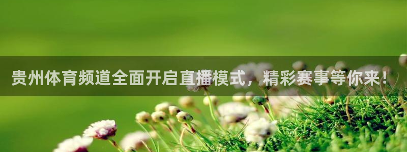 贵州体育频道全面开启直播模式，精彩赛事等你来！