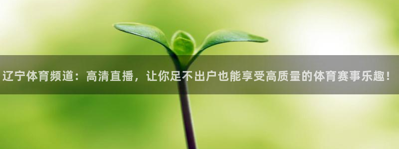 辽宁体育频道：高清直播，让你足不出户也能享受高质量的体育赛事乐趣！